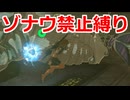 ゾナウ禁止縛りpart38【ティアキン/制限プレイ/ゼルダの伝説ティアーズオブザキングダム】