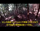 (７月７日収録分)変態忍者の、有害鳥獣駆除従事活動記・その２９２