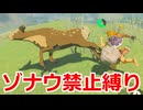 ゾナウ禁止縛りpart39【ティアキン/制限プレイ/ゼルダの伝説ティアーズオブザキングダム】