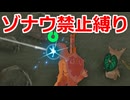 ゾナウ禁止縛りpart40【ティアキン/制限プレイ/ゼルダの伝説ティアーズオブザキングダム】