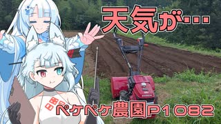 2024年8月9日　農作業日誌P1082　地震が発生してちょっと混乱中