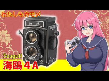 わたしもカモメ【海鴎 4A】 フィルムカメラの紹介