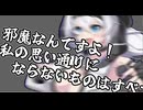 邪魔なんですよ！私の思い通りにならないものはすべて…！