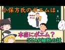 【ゆっくり解説】小保方氏のポエムは本当にポエム？