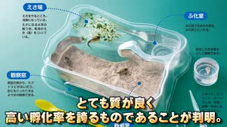 #07 学研カブトエビ「学研の科学・古代生物カブトエビの世界」リスタートでございます。