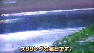 #10 学研カブトエビ「学研の科学・古代生物カブトエビの世界」不測の展開でございます。