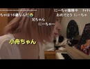「小舟ちゃんが大学へ行く理由」「ダジャレが大好きな小舟ちゃん」「にーちゃハッピーバースディトゥーユー」
