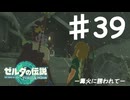 【初見実況】 第三十九話　篝火に誘われて　【 ゼルダの伝説 ティアーズオブザキングダム 】
