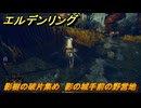 エルデンリングDLC　影樹の破片集め　影の城手前の野営地　＃４６　【ELDEN RING】