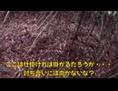 (７月１４日収録分)変態忍者の、有害鳥獣駆除従事活動記・その２９３