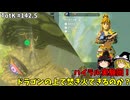 【ゆっくり実況】初めてのティアーズオブザキングダム！ part142-5 【ティアーズオブザキングダム】