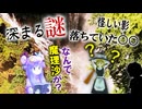 登場キャラが増えた！！幽々子が意味深発言！？謎が少し深まる高クオリティー二次創作アニメ！！「夢想夏郷 -A Summer Day's Dream-」2話をレビューするぜ！！
