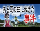 13年前に出た今年完結するらしい東方の同人アニメのクオリティーが高すぎる！「夢想夏郷  -A Summer Day's Dream-」1話をレビューするぜ！！