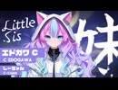 【切り抜き動画】2分でわかる新人Vtuber（？）兄妹＋α 4人【ティザー動画】