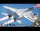 【WarThunder】惑星戦線異状なしPart66～フィーバータイム～[F-14A Early]