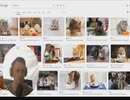 初級英語  -  猫の人生 - Life of a Cat