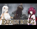 【エルデンDLC】きりきずは、影の地で。part8