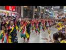 main tournament grand prix kochi yosakoi festival 2024