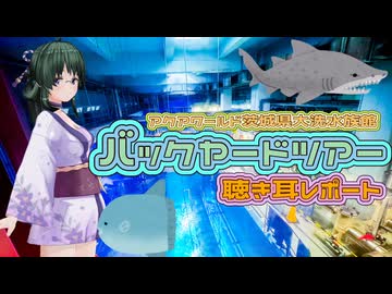 【笹梛リア】アクアワールド茨城県大洗水族館バックヤードツアー聴き耳レポート【春日部つむぎ】