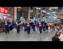kouchi yosakoi festival 2024.8.10