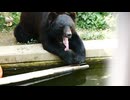 かみね動物園