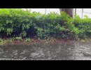 どれくらいの距離を歩いたら / 可不