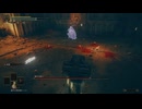 【エルデンリングDLC】玄人ぶって素寒貧でDLCに行った一般褪せ人#01