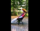 TEMUでアウトドアチェアを買いました