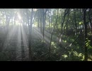 【実況探索2023】群馬県 夏のミステリースポット巡り 2/2【#33】