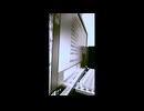 aiko / 花火 (アカペラです。)