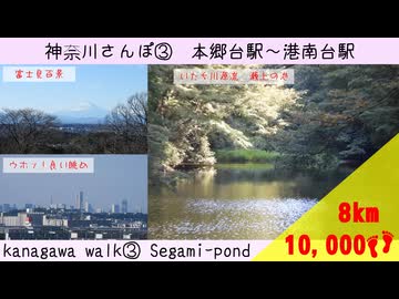 【神奈川さんぽ③】いたち川の源流瀬上の池に行ったさんぽ【結月ゆかり】【voiceroid】
