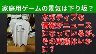 【テーマ：家庭用ゲームメーカーの人材要件の検証2024】第266回まてりあるならじお　