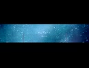 Aster - 星くずのうた