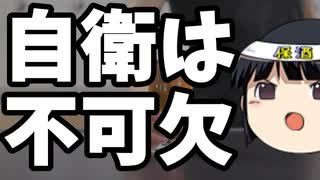 自衛すら拒否する気か？？？？
