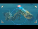 【ティアキンだけは】part.161【実況させて】