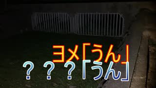 ヨメのリハビリさんぽのつもりが、なぜか怪奇現象が収録されてしまう【福岡県 春日公園】