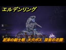 エルデンリングDLC　泥濘の騎士戦　大穴ボス　深紫の花園　＃１０６　【ELDEN RING】