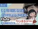 カヒミ・カリィ「ハミングがきこえる」をフルートで演奏 楽譜 コード 付き演奏動画