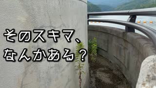 白い服を着た女の霊が現れる？！畑貯水池【深夜おさんぽ番外編】