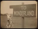 Where is my wonderland? - 重音テト