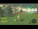 【ゼルダの伝説攻略】ゼルダの伝説ティアーズオブザ キングダム2周目　#2-9 リト村へ