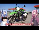 琴葉姉妹と行く釣行記録（車載編part29）