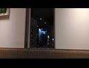吉野家から花火を眺める240810