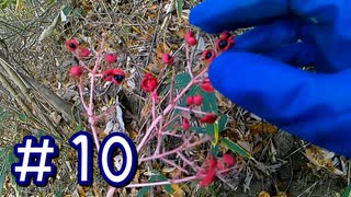 整地生活、始めました。 - Part10 -