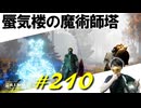 蜃気楼の謎掛けで右往左往したりヤバめの敵と戯れたりアルター坑道に潜ったりします【初見】エルデンリング実況／盗賊王物語【オフライン】#210