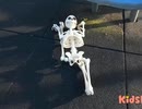 謎のあきまさ