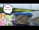 第15回　用水路でオイカワメインの小物釣り　【自作ニードルシステム】【ずんだもん実況】【VOICEROIDフィッシング】