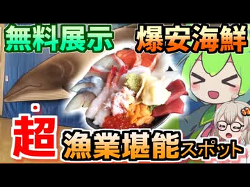 【マリントポスくしろ】無料資料館と破格の海鮮丼・釧路の水産をダブルで満喫できる穴場スポット【ずんだもんの釧路グルメ】
