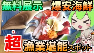 【マリントポスくしろ】無料資料館と破格の海鮮丼・釧路の水産をダブルで満喫できる穴場スポット【ずんだもんの釧路グルメ】