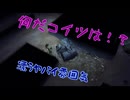 【ピクミン２】後輩の責任を負う男【実況】 Part17